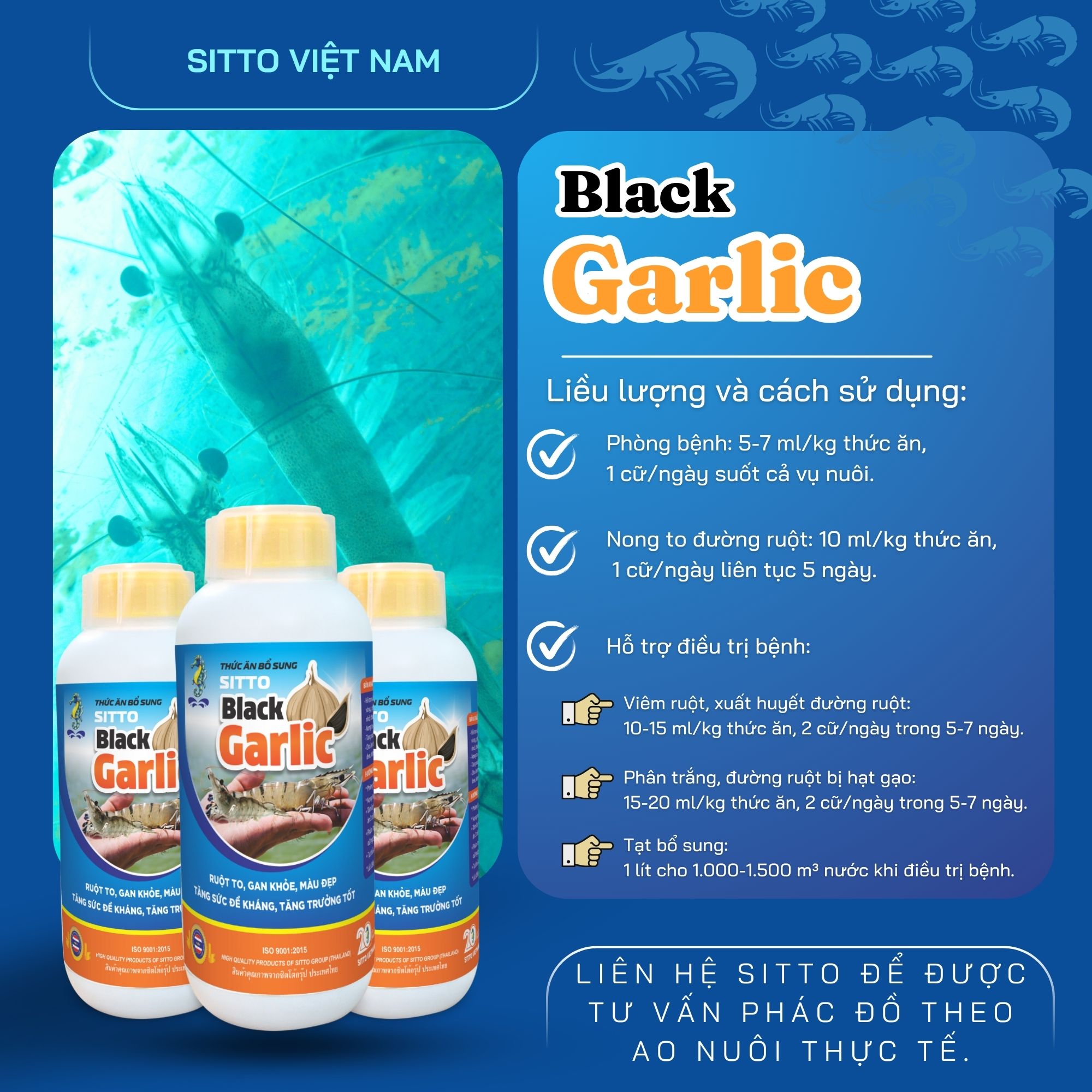 Liều lượng và cách sử dụng của Sitto Black Garlic