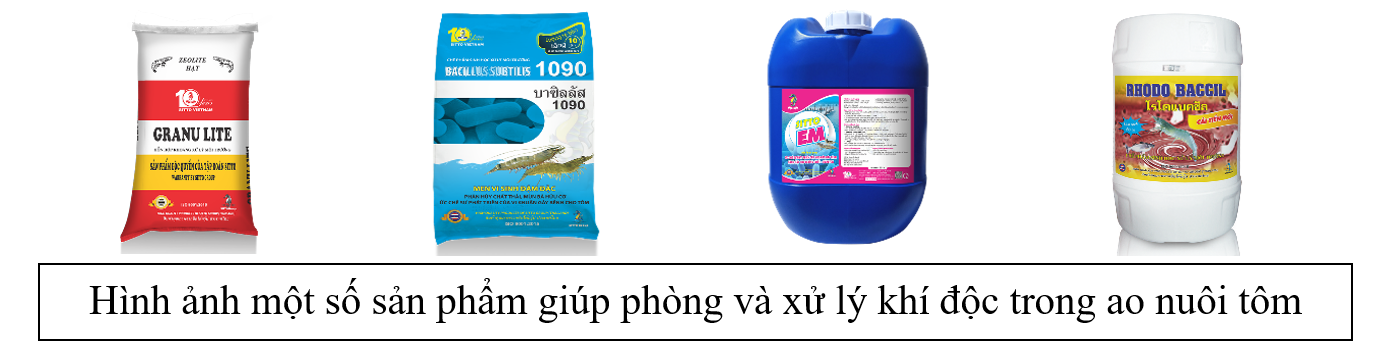 Các sản phẩm giúp phòng và xử lý khí độc trong ao nuôi tôm