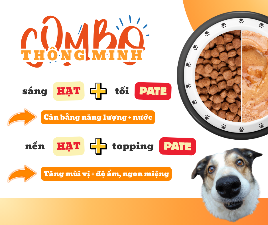 Combo thực đơn thông minh cho chó mèo