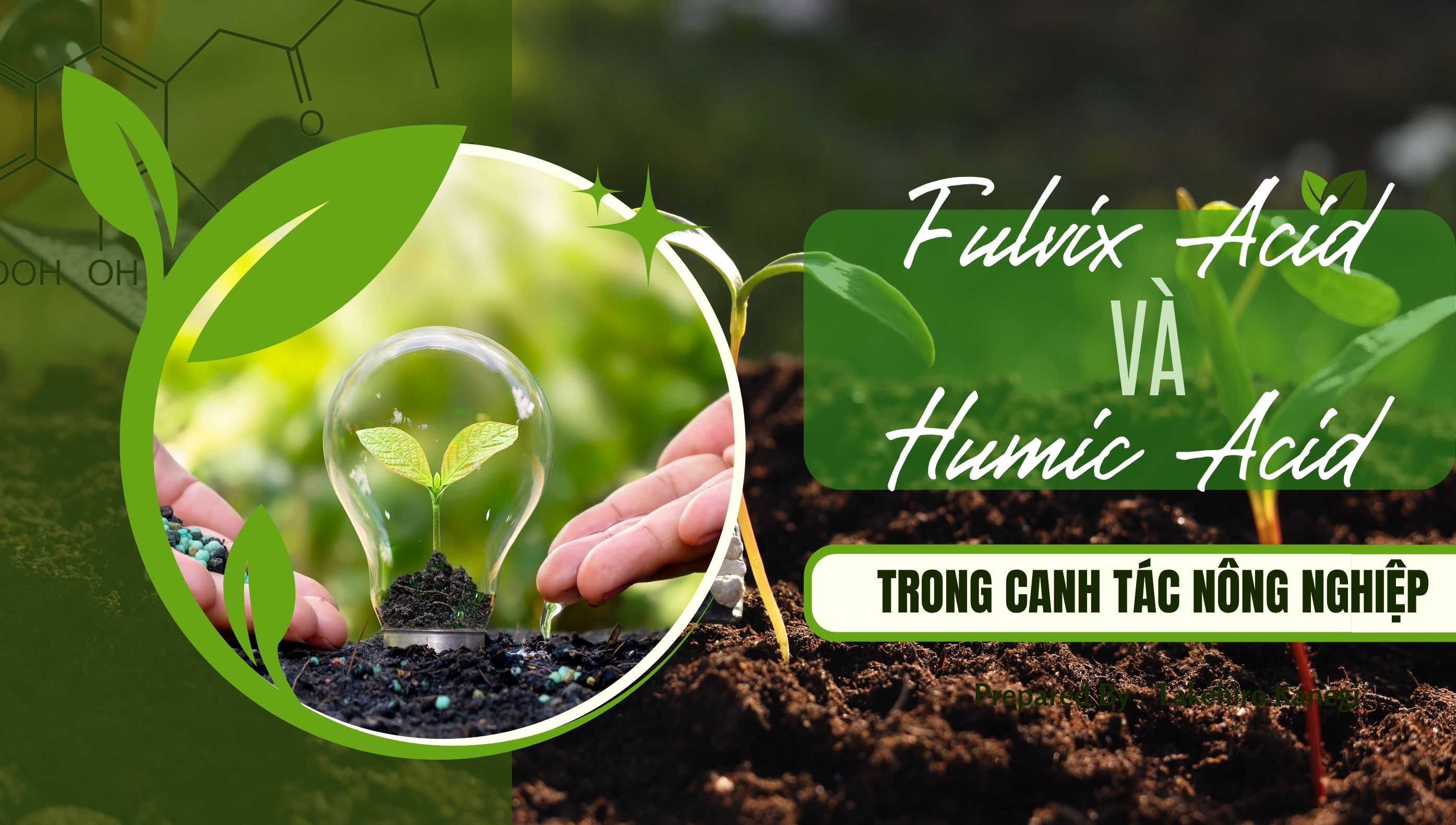 FULVIC ACID VÀ HUMIC ACID TRONG CANH TÁC NÔNG NGHIỆP