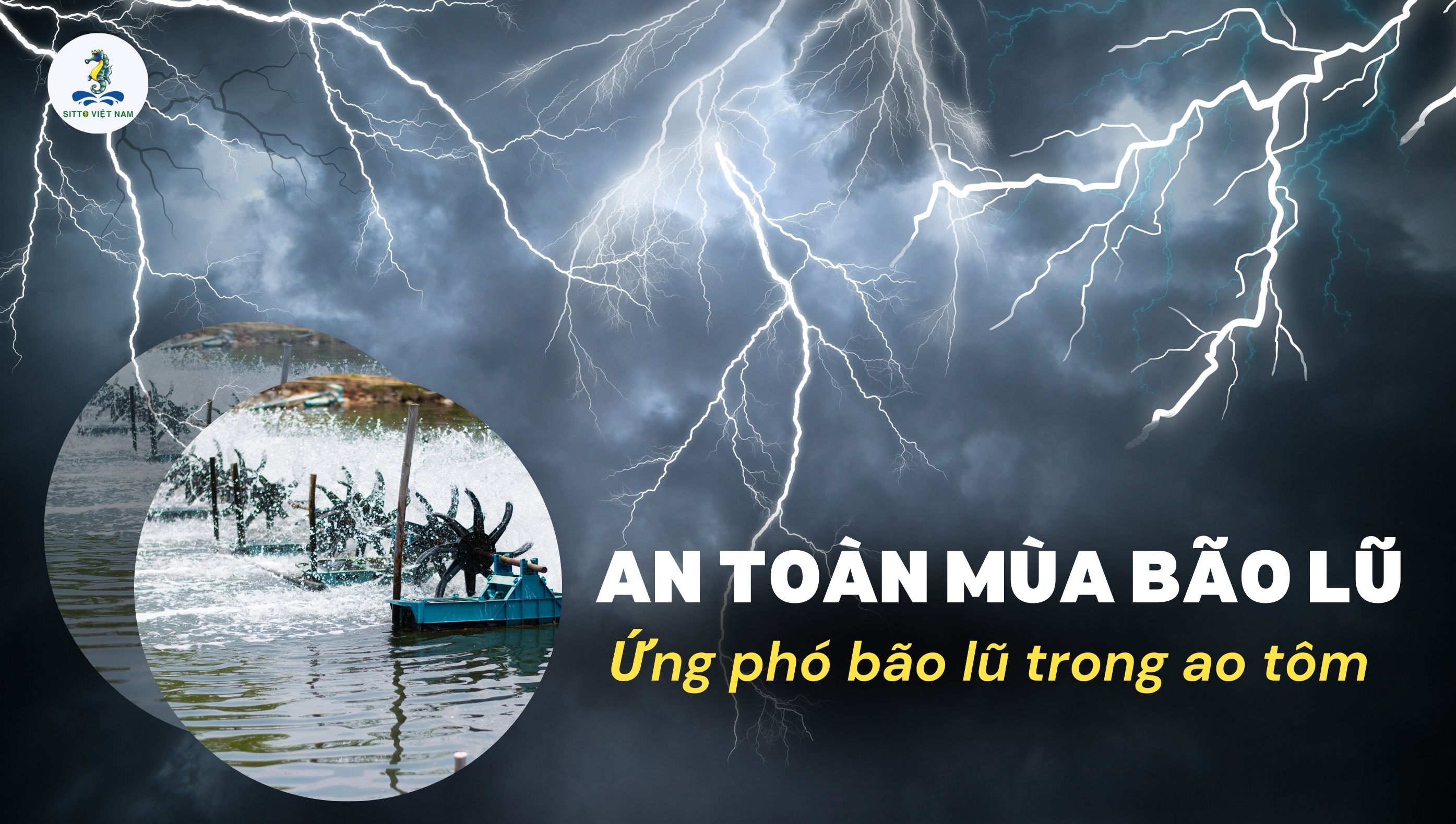 AN TOÀN MÙA BÃO LŨ - BÀ CON NUÔI TÔM CẦN BIẾT