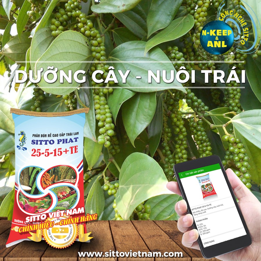 Phân bón Sitto Phat 25-5-15+Te (Bao 50kg) - Dưỡng cây nuôi trái