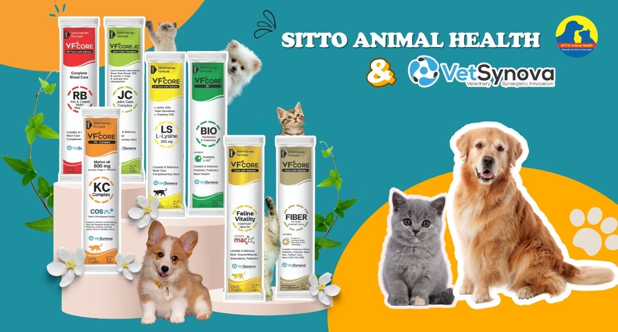Sitto Animal Health - Công ty TNHH Sitto Việt Nam chính thức tham gia thị trường thức ăn & chăm sóc thú cưng