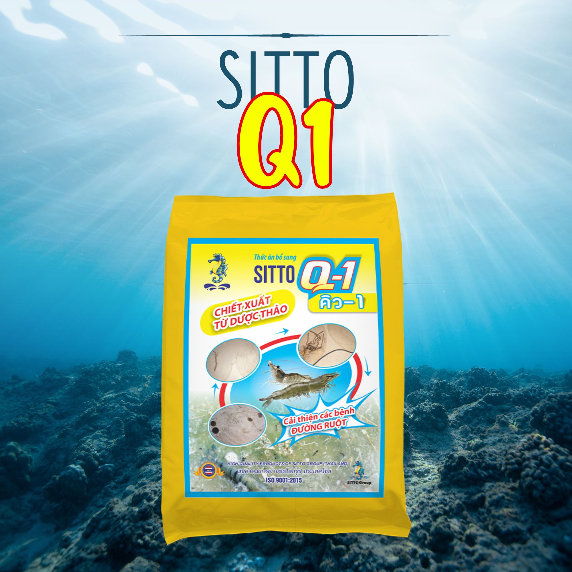 Sitto Q1 (Gói 500g) - Đặc trị bệnh phân trắng và các bệnh đường ruột