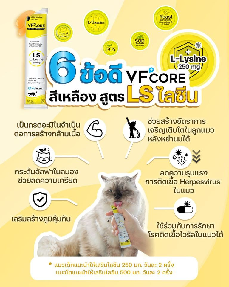 VF+ CORE L-LYSINE - Giúp mèo cưng phát triển toàn diện