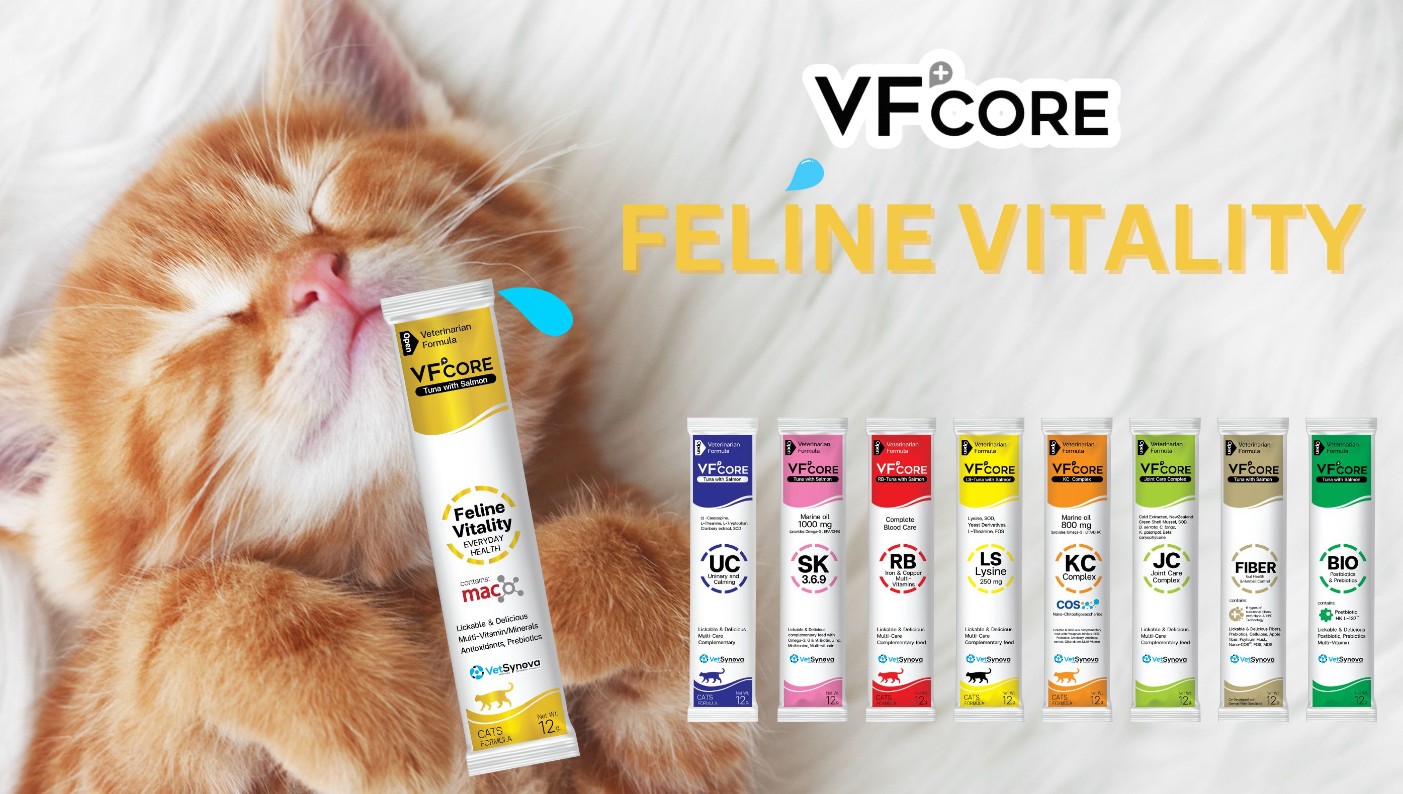 Khám phá Vf+ Core Feline Vitality dành cho mèo cưng: sức khỏe toàn diện, niềm vui đích thực