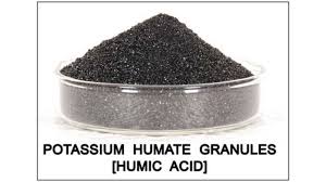 Axit humic là hợp chất hữu cơ tự nhiên