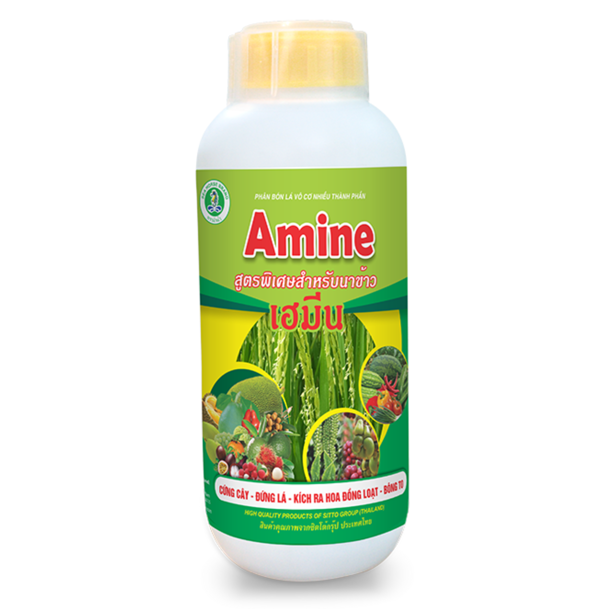 AMINE (chai 500ml)