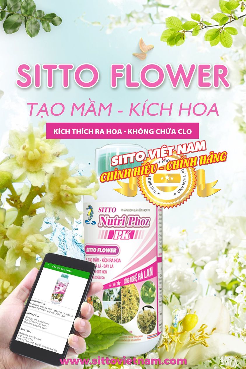 Sitto Flower (Chai 500ml) - Tạo mầm, kích ra hoa