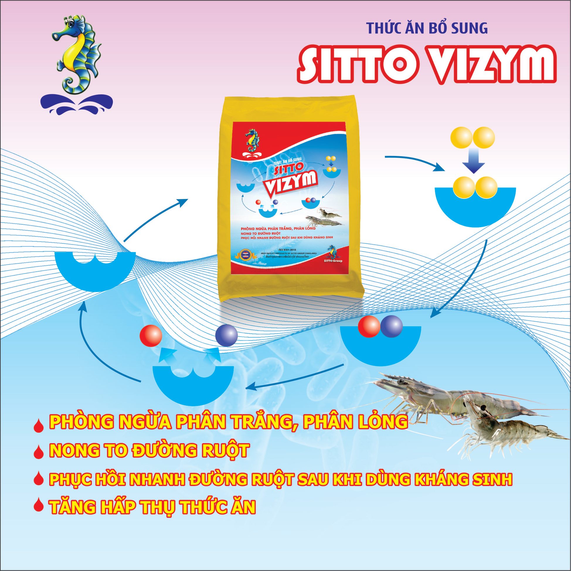 Thuốc thủy sản Sitto Vizym - Phòng ngừa phân trắng, phân lỏng và bệnh về đường ruột