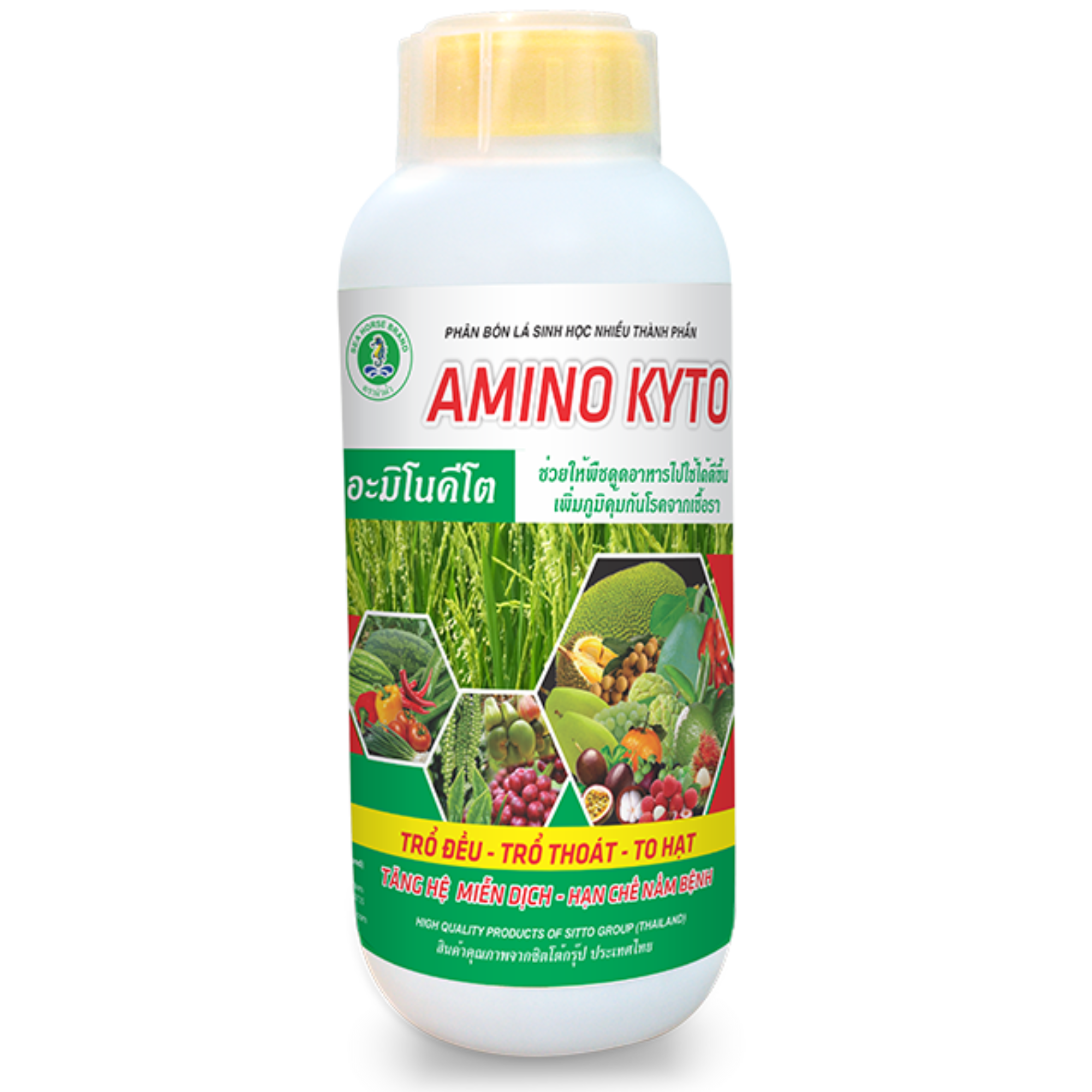 AMINO KYTO (chai 500ml)