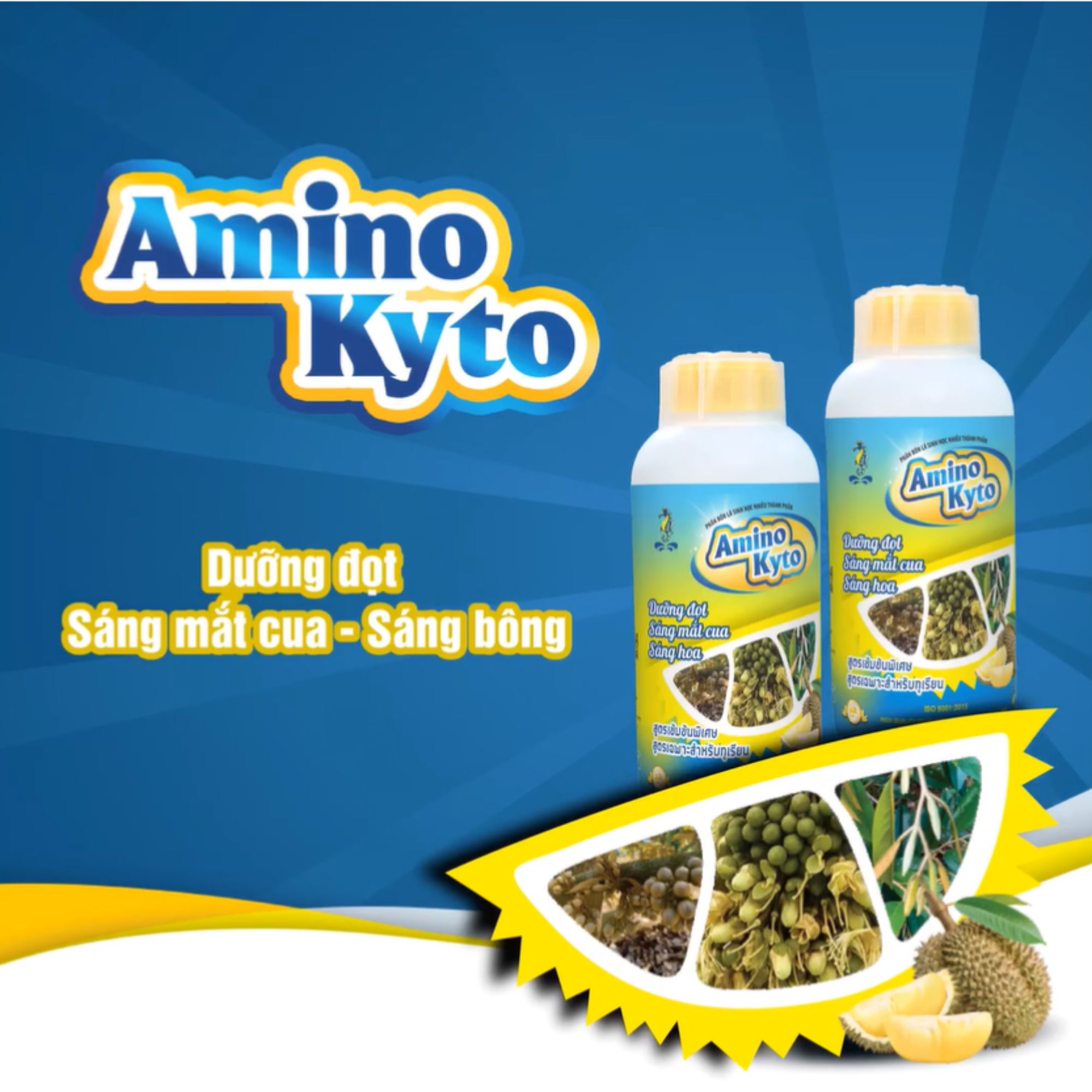 Sitto Amino Kyto chuyên sầu riêng (Chai 1l): Dưỡng đọt - sáng mắt cua - sáng hoa