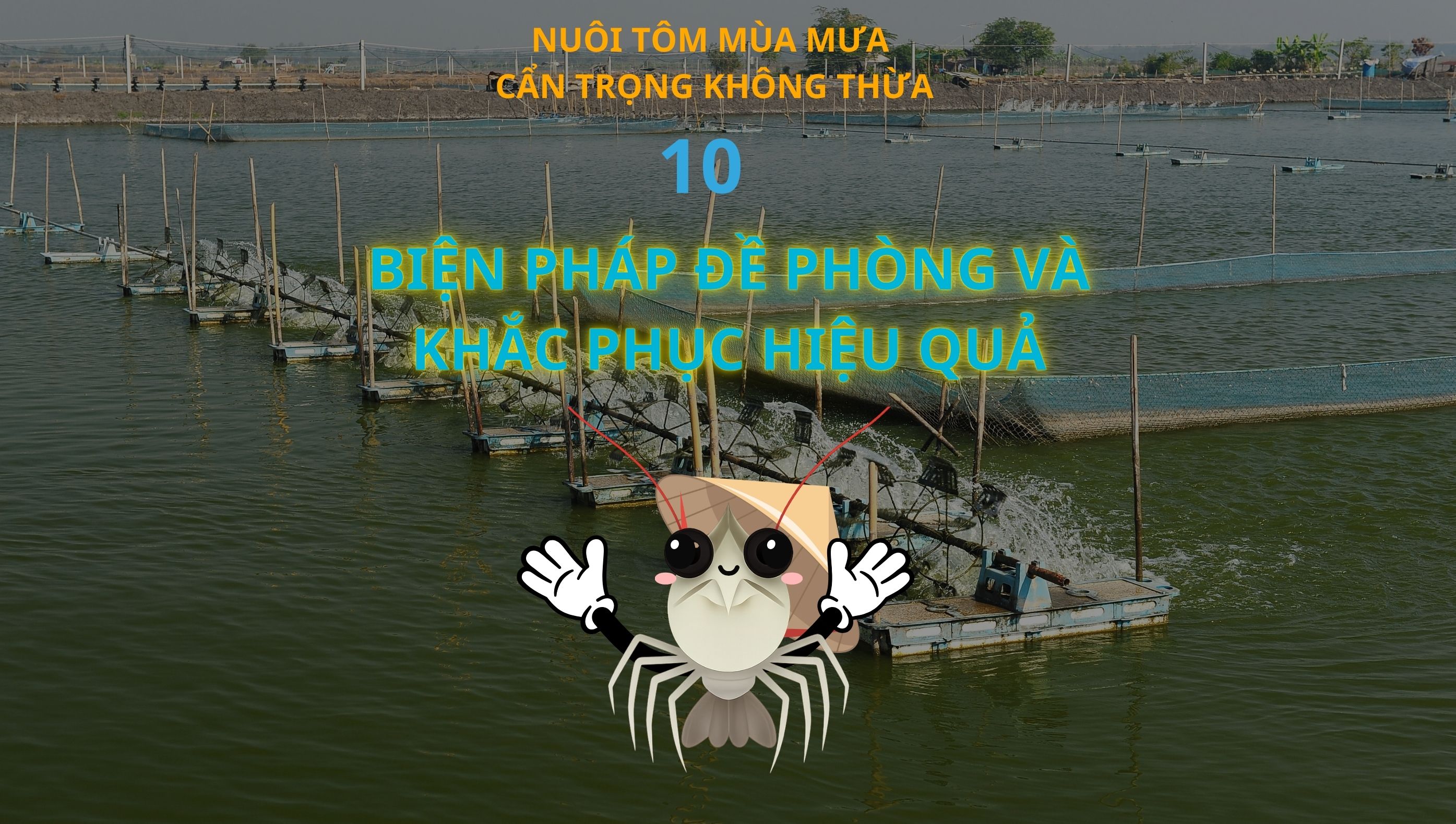 10 BIỆN PHÁP ĐỀ PHÒNG VÀ KHẮC PHỤC TÁC HẠI CỦA NƯỚC MƯA TRÊN AO TÔM HIỆU QUẢ