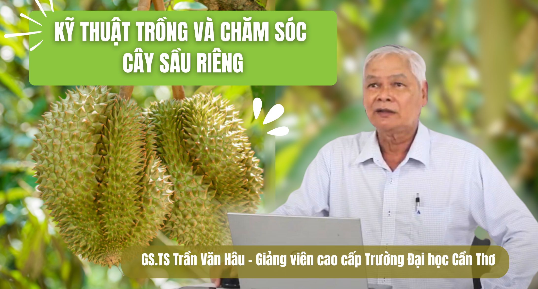 Học Viện Kiến Thức (Sitto Academy) - Kỹ thuật trồng và chăm sóc cây sầu riêng