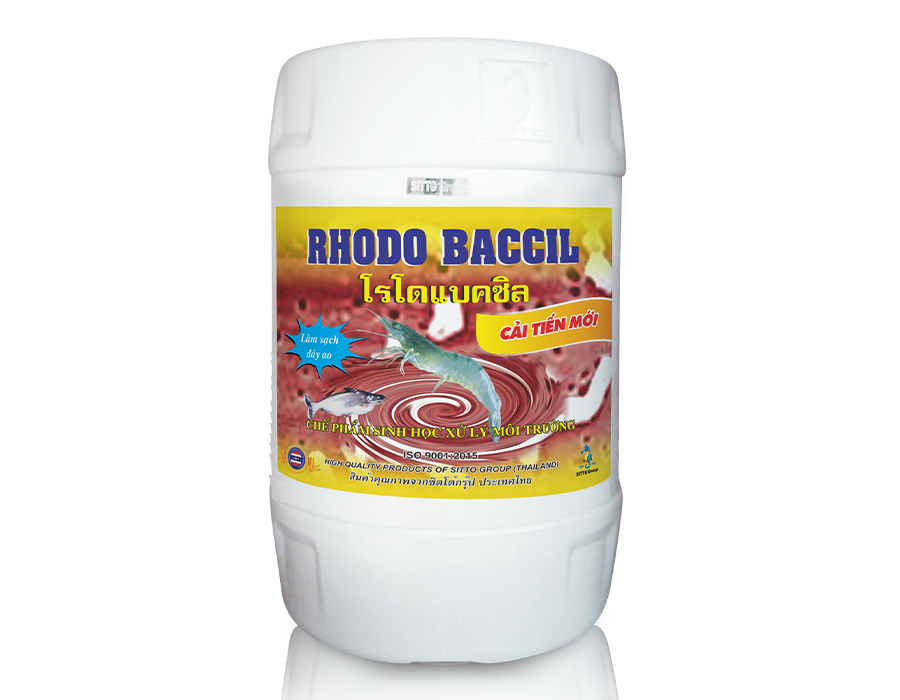 RHODO BACCIL (Can 20L)