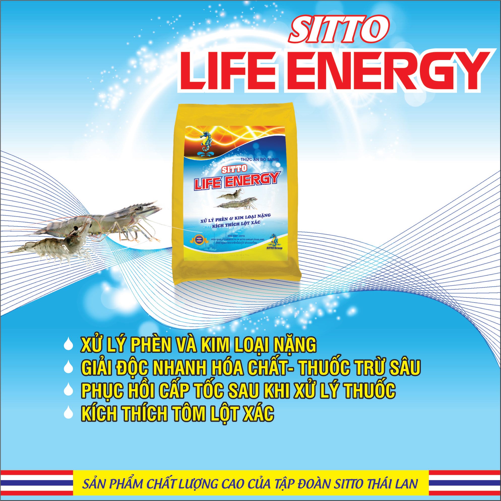 Dinh dưỡng bổ sung - Sitto Life Energy (Gói 500g)