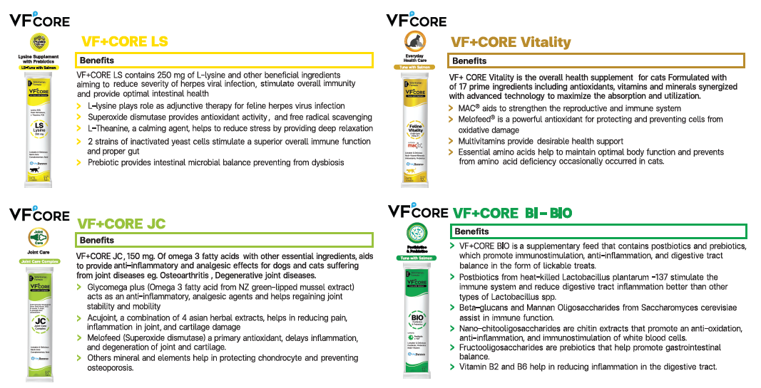 VF core 1