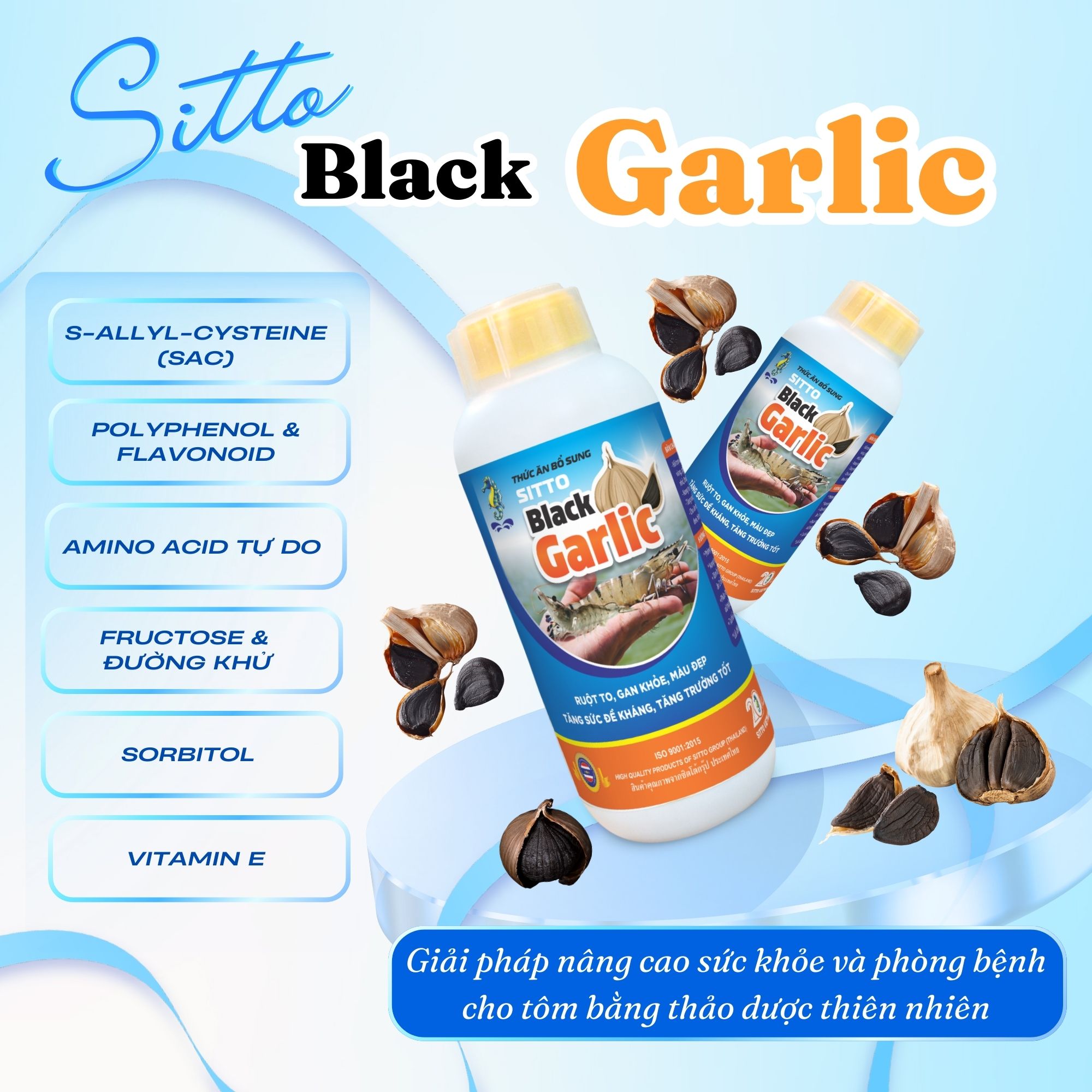 Thành phần hoạt chất nổi bật của Sitto Black Garlic