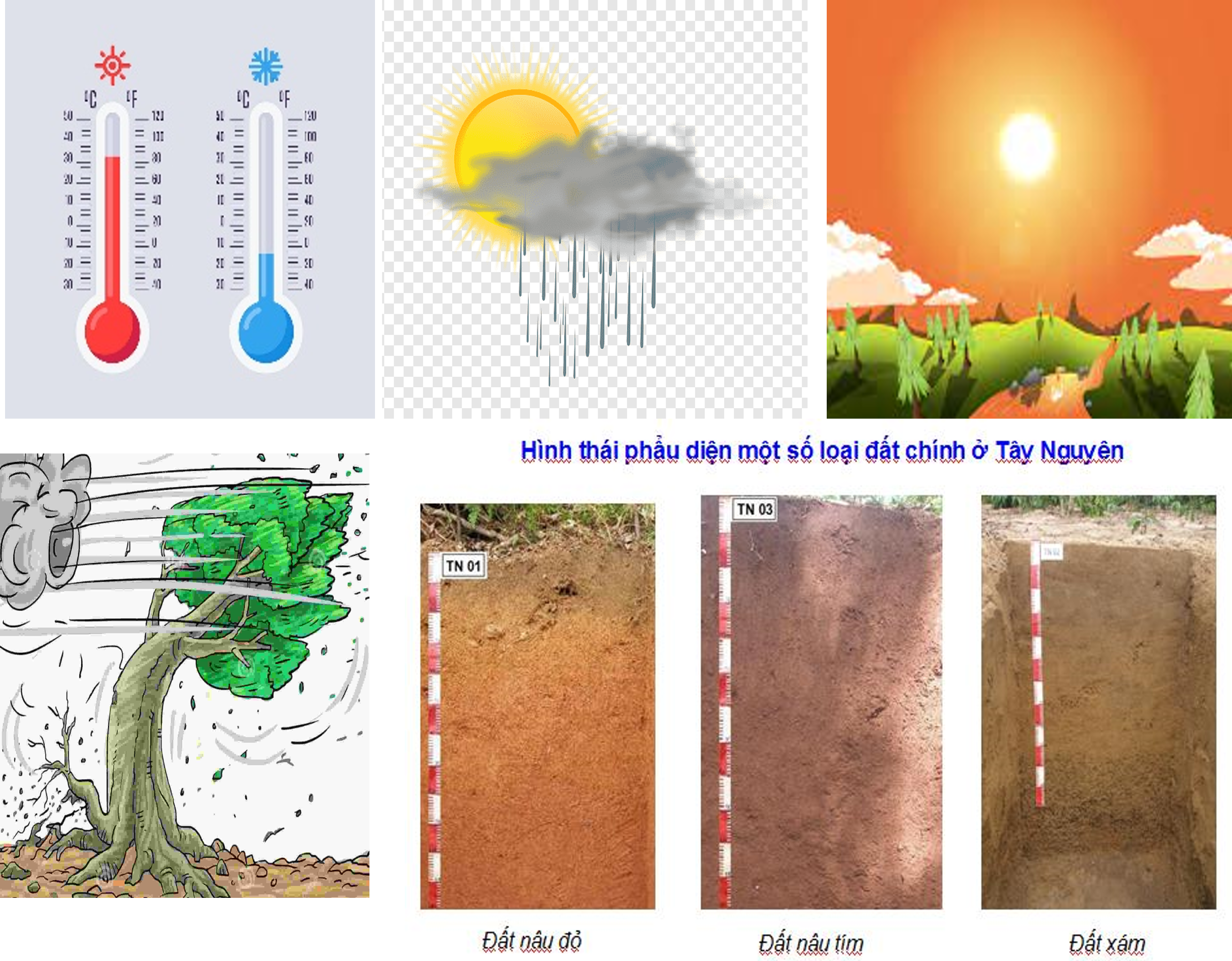 Cà phê mang lại giá trị kinh tế cao