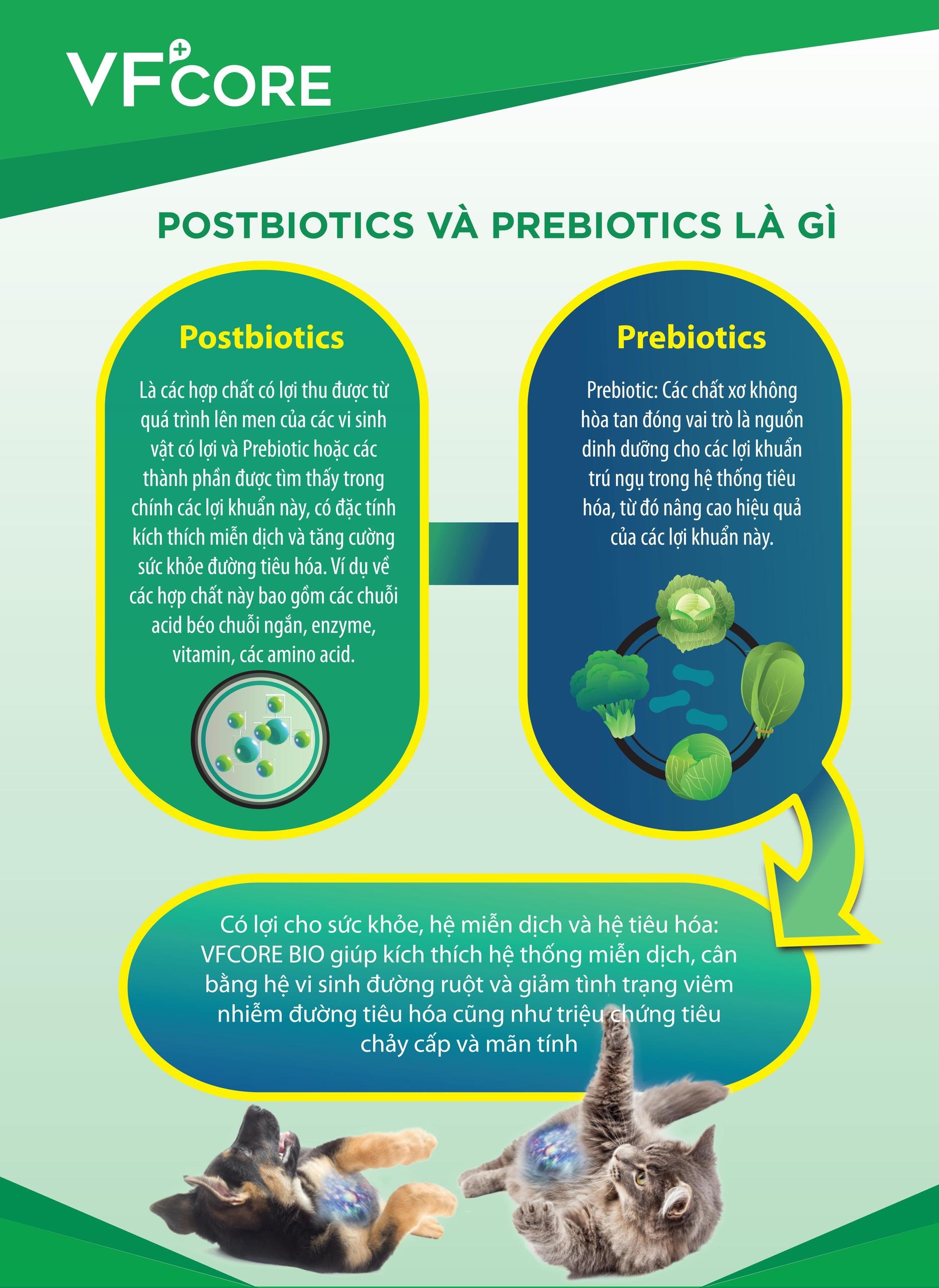 Postbiotics là các hợp chất có lợi thu được từ quá trình lên men của các vi sinh vật có lợi