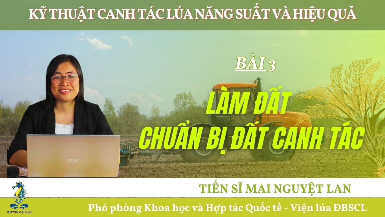 Kỹ Thuật Canh Tác Lúa -Làm Đất, Chuẩn Bị Đất Canh Tác (Bài 3) | SITTO eShop