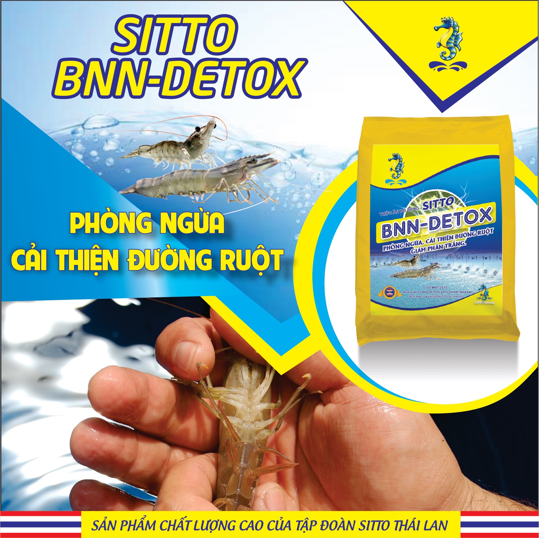 Sản phẩm Dinh dưỡng bổ sung - Sitto BNN-Detox (Gói 500g) - Phòng ngừa cải thiện đường ruột