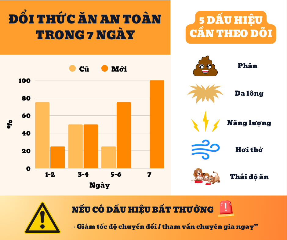 Lộ trình đổi thức ăn an toàn cho thú cưng