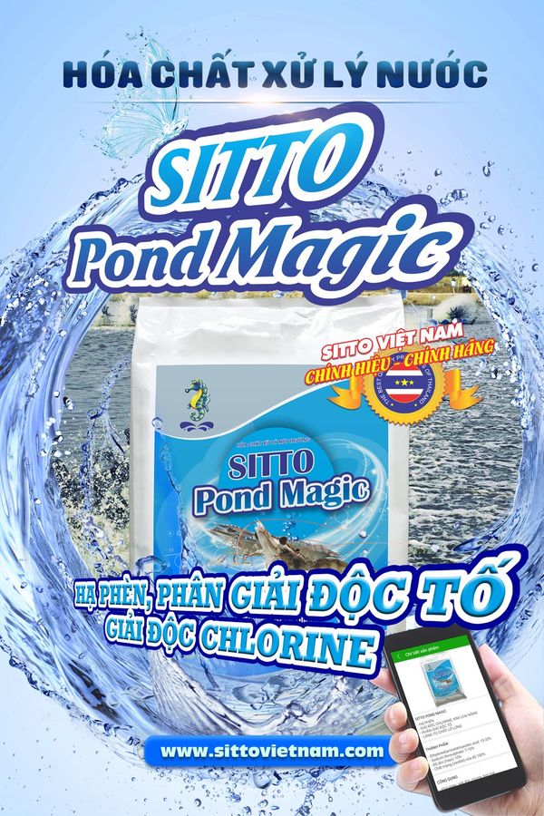 Hóa chất xử lý nước - Sitto Pond Magic (Bao 5kg)