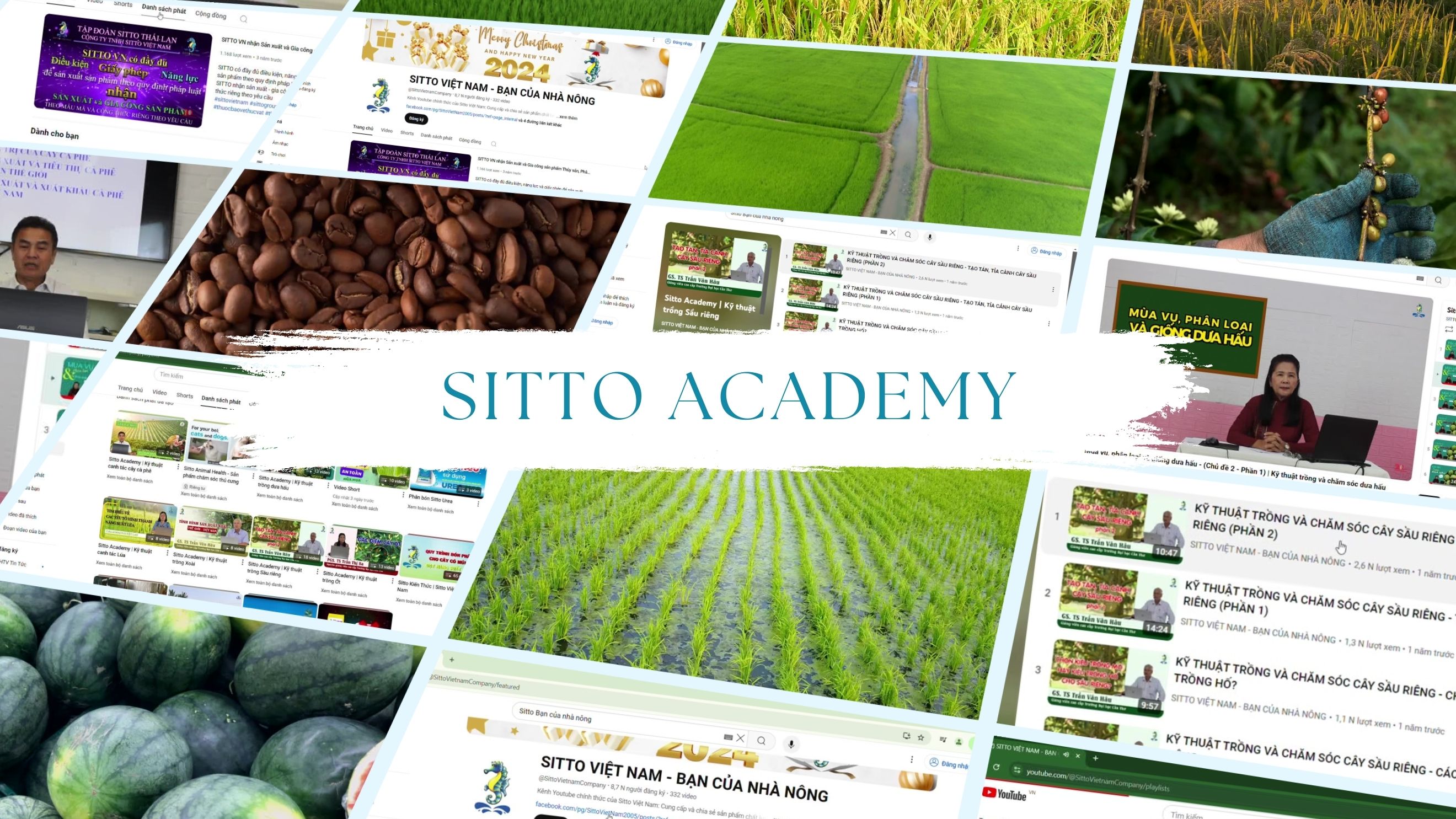 Sitto Academy -  Kiến thức chăm sóc cây trồng toàn diện từ chuyên gia