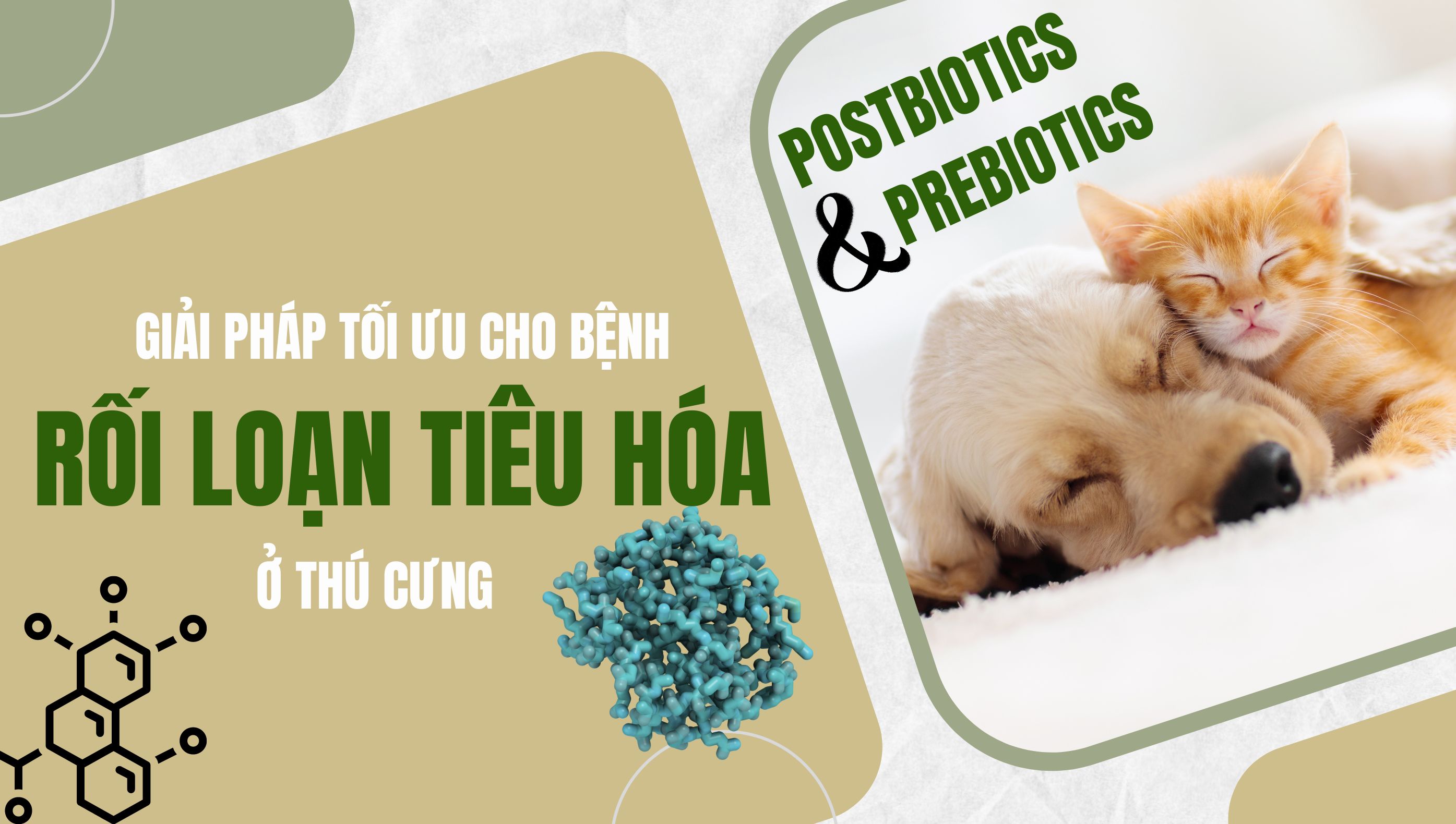 Giải pháp tối ưu cho rối loạn tiêu hóa ở thú cưng: Postbiotics và Prebiotics