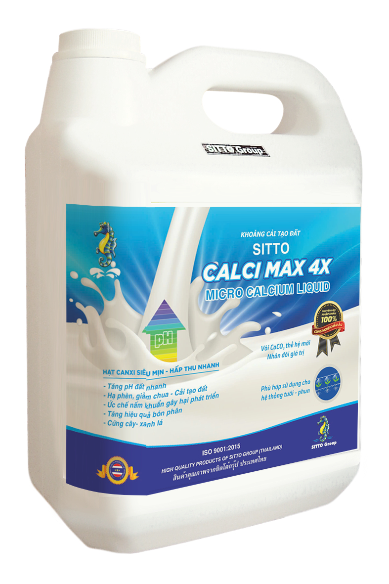SITTO CALXI MAX 4X (Can 5L) 