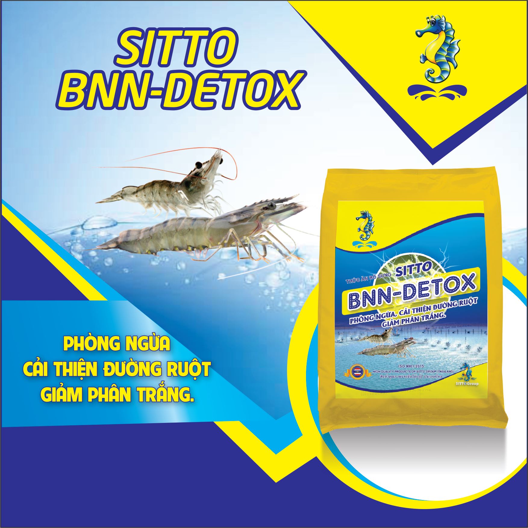 Hướng dẫn sử dụng Sản phẩm Dinh dưỡng bổ sung - Sitto BNN-Detox (Gói 500g)