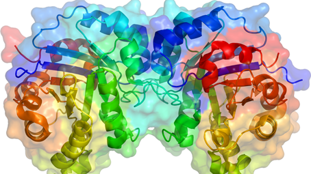 việc bổ sung enzyme ngoại sinh vào khẩu phần ăn hàng ngày đã trở thành một bước tiến lớn trong dinh dưỡng thủy sản