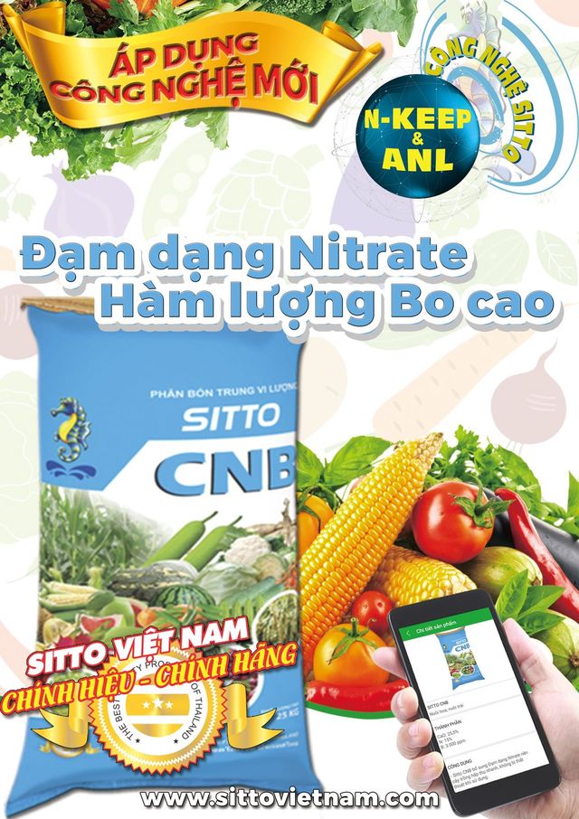 Sitto CNB có bổ sung hàm lượng Bo cao, giúp cây trồng phát nuôi hoa