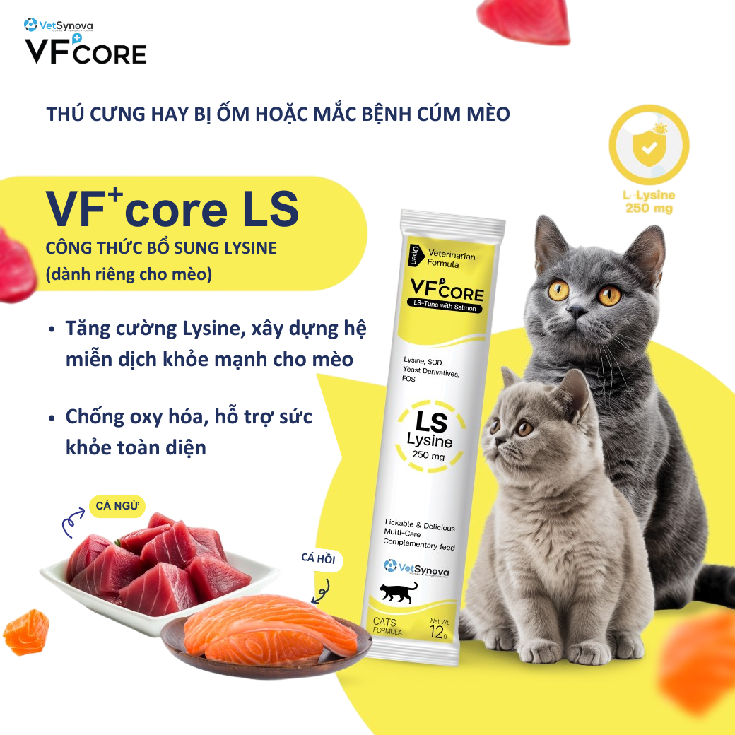 Súp thưởng chức năng VF+Core LS 