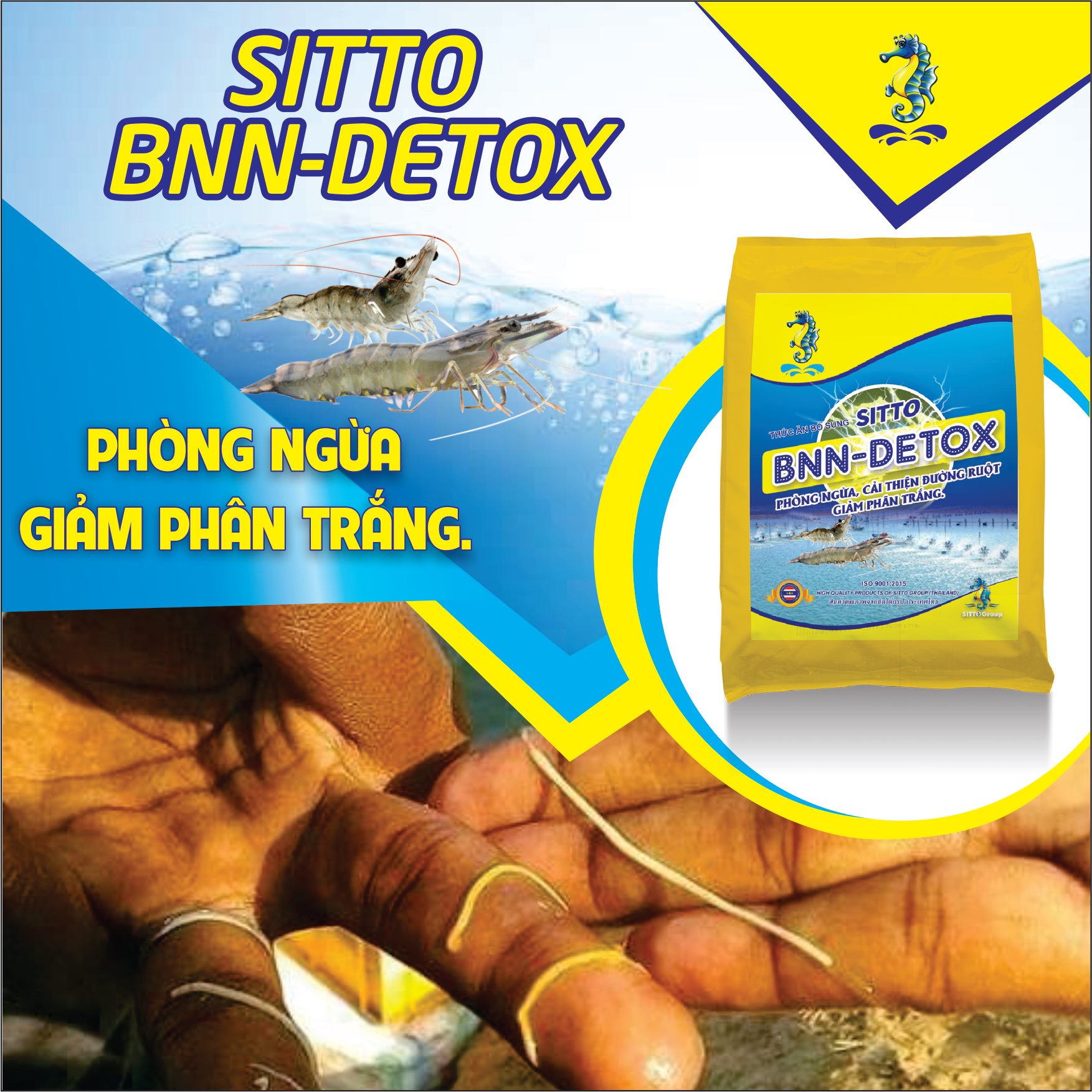 Sản phẩm Dinh dưỡng bổ sung - Sitto BNN-Detox (Gói 500g) - Phòng ngừa phân trắng