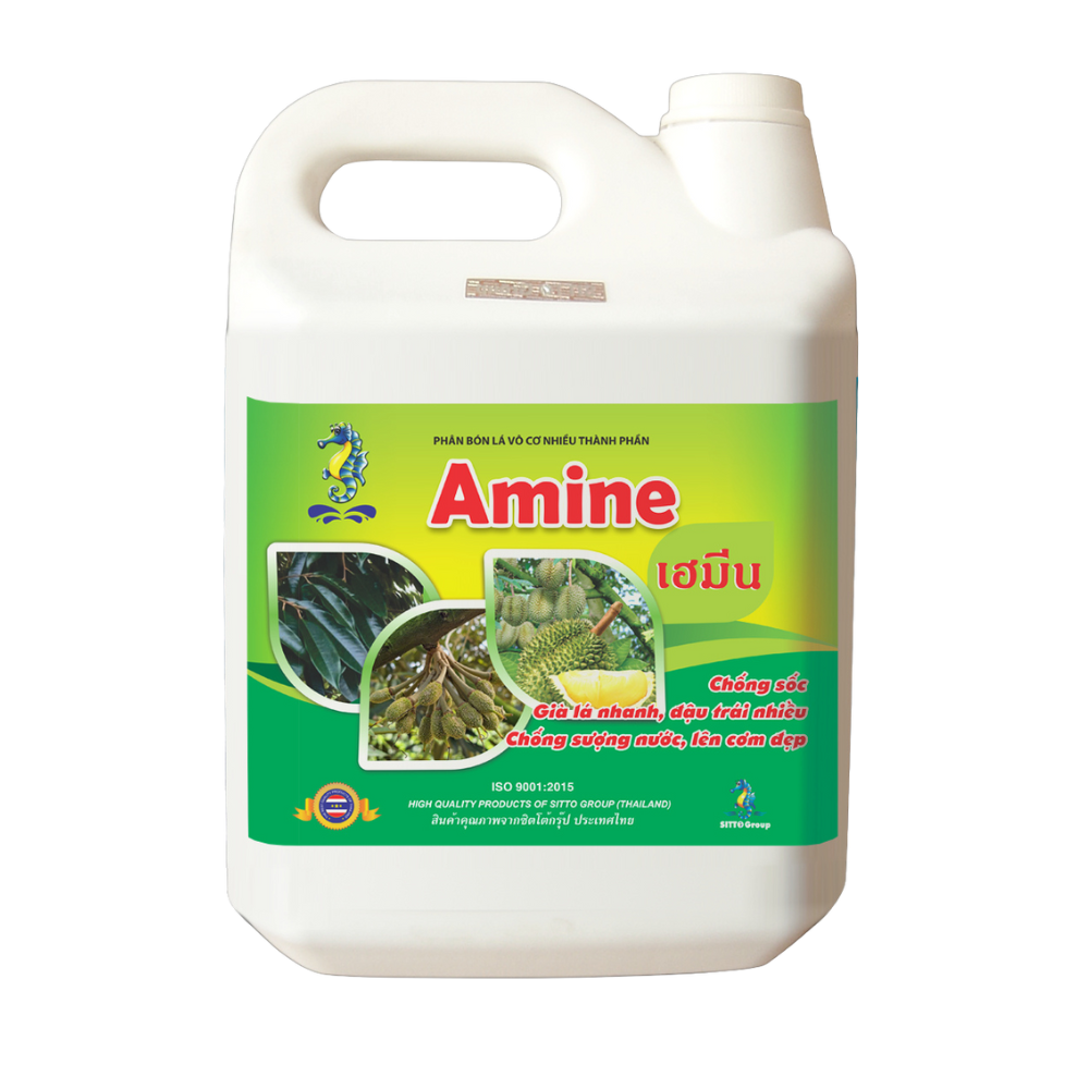 AMINE (Can 5L)