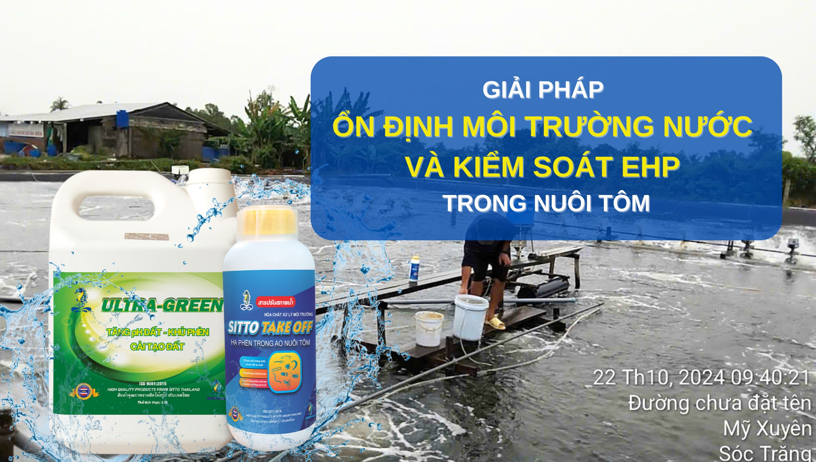 Giải pháp ổn định môi trường nước và kiểm soát EHP trong nuôi tôm