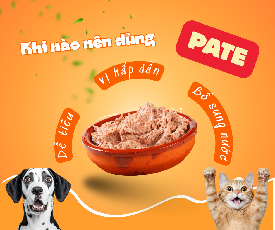 Vì sao nên chọn pate cho chó mèo