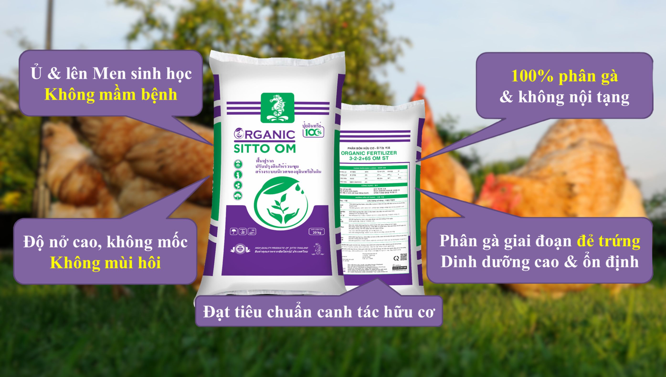 Công dụng Organic fertilizer 3-22+65 OM ST