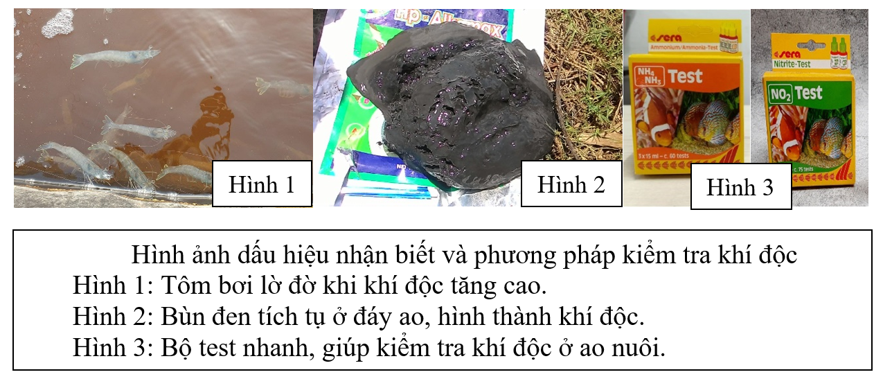 Hình ảnh dấu hiệu nhận biết và phương pháp kiểm tra khí độc