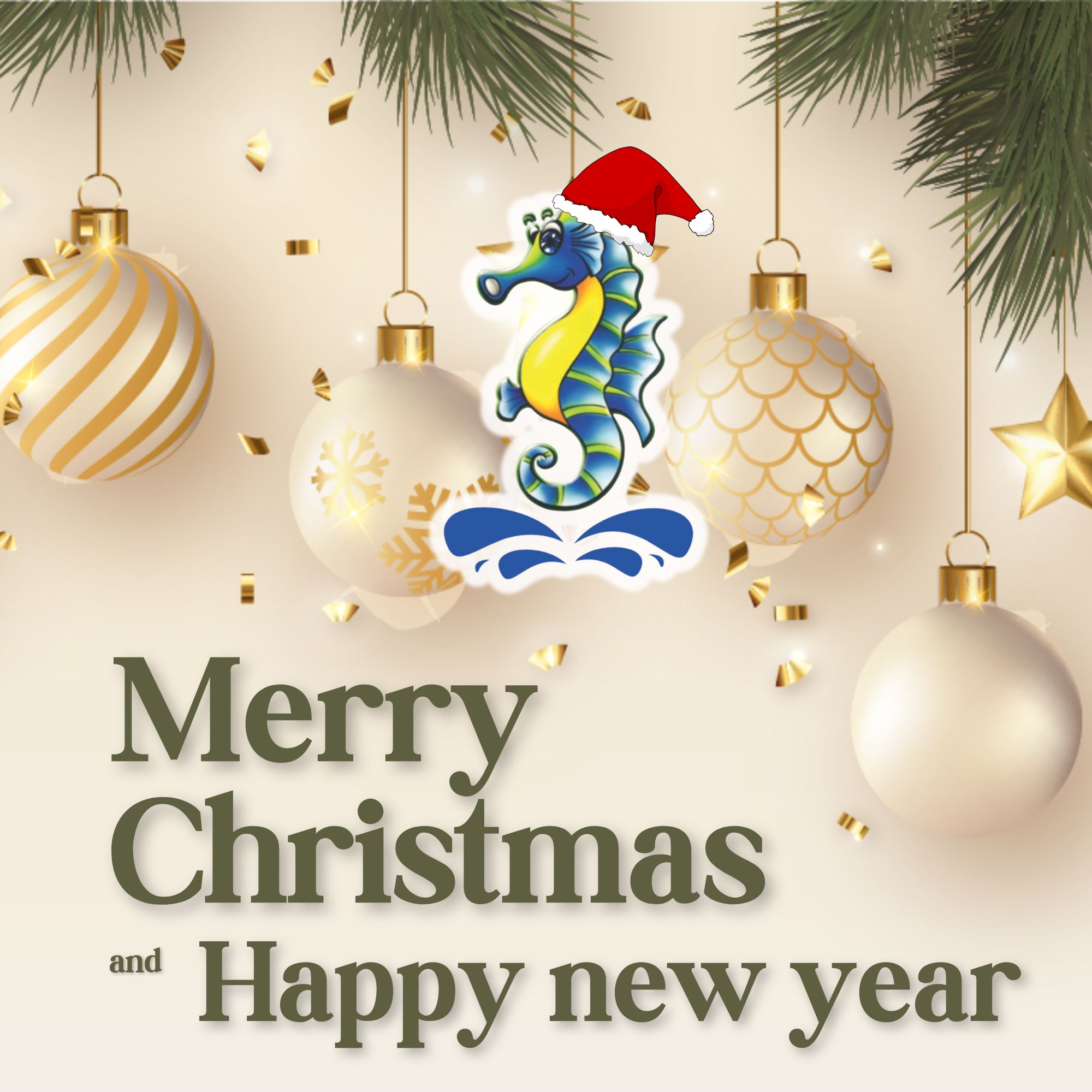 Merry Christmas and Happy New Year 2025