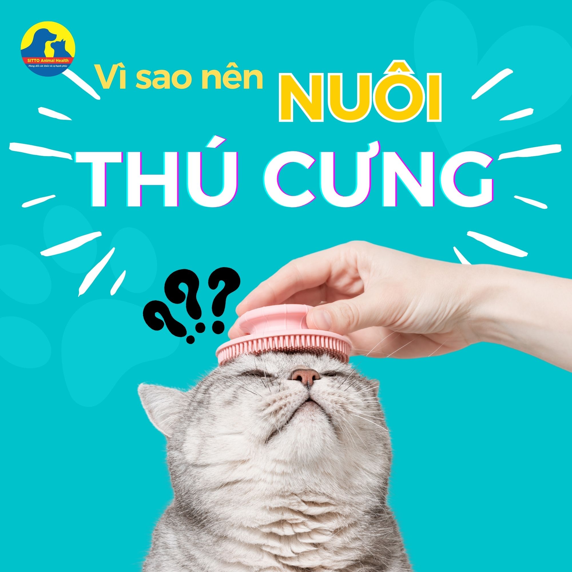 Lợi ích tuyệt vời khi nuôi thú cưng