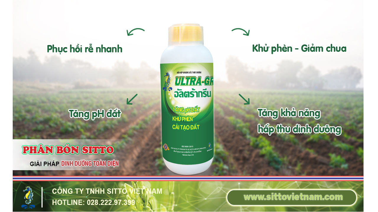 Ultra-Green – Tăng pH Đất, Khử Phèn, Sát Trùng Môi Trường | SITTO eShop