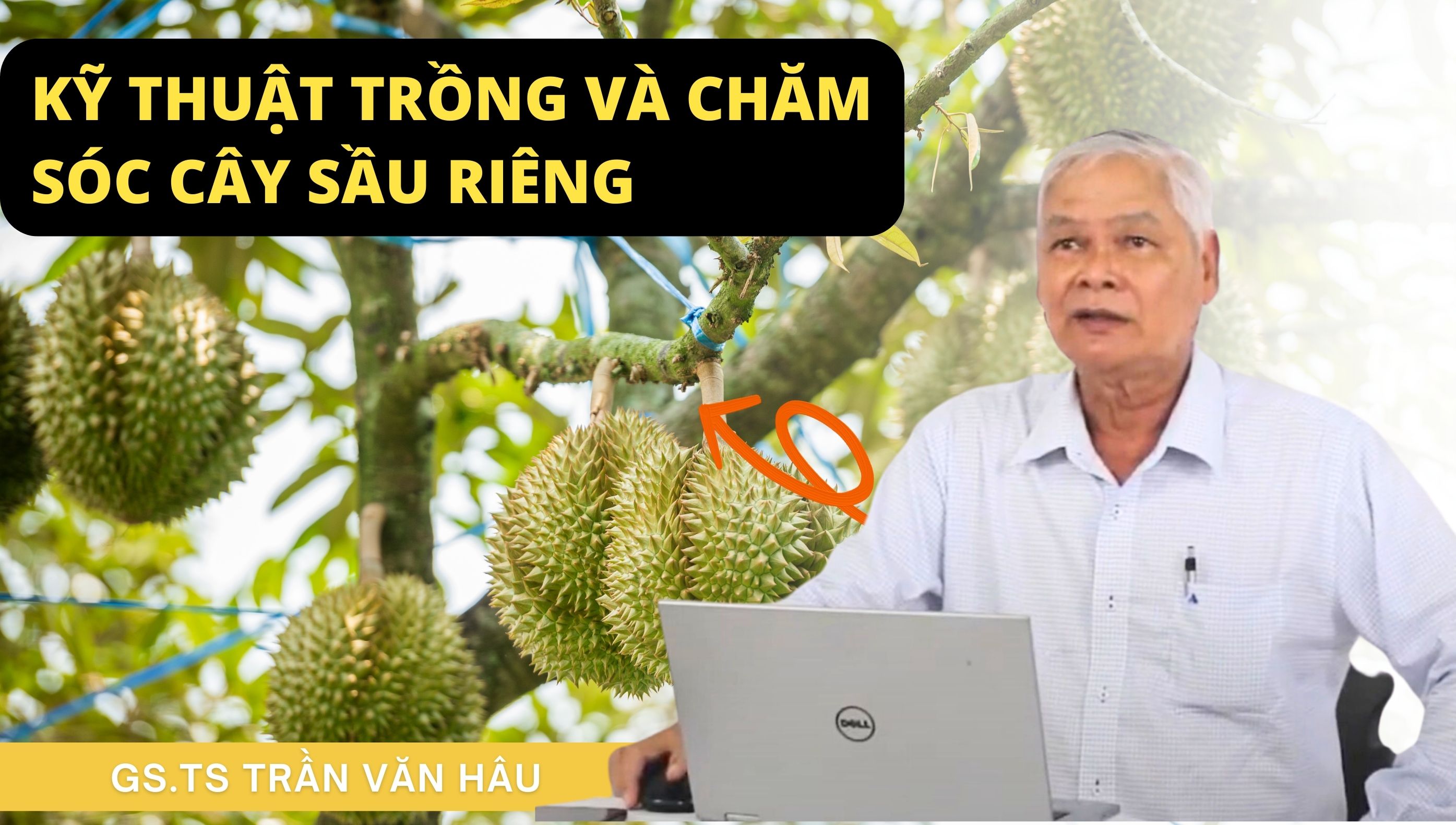 Học Viện Kiến Thức (Sitto Academy) - Kỹ thuật trồng và chăm sóc cây sầu riêng