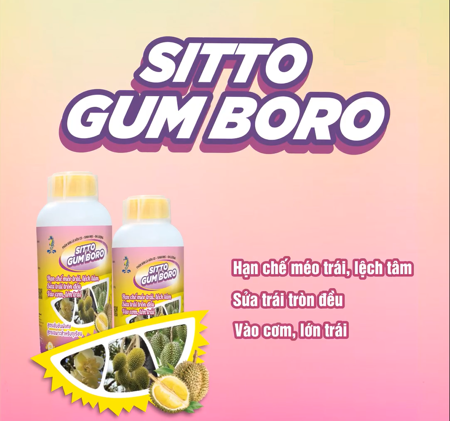 Phân bón Sitto Gum-Boro chuyên Sầu Riêng - nuôi trái, nuôi hạt