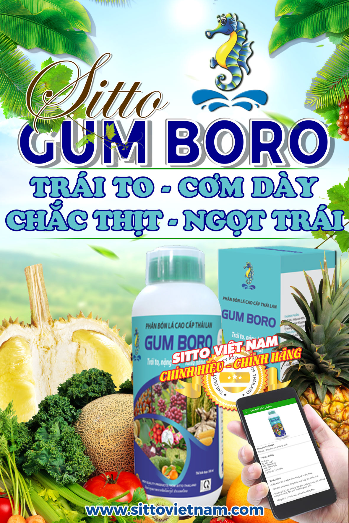 Sitto Gum-Boro (Chai 500ml) - Trái to, cơm dày, ngọt trái, tăng năng suất