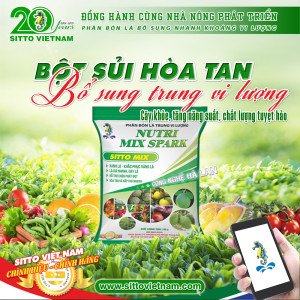 Khắc Phục Hiện Tượng Vàng Lá Do Thiếu Hụt Trung Vi Lượng