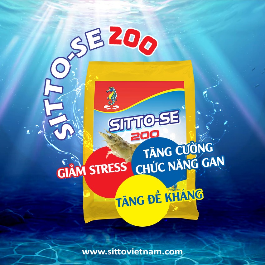 SITTO-SE 200 (gói 500g) - Tăng cường chức năng gan - Giảm stress