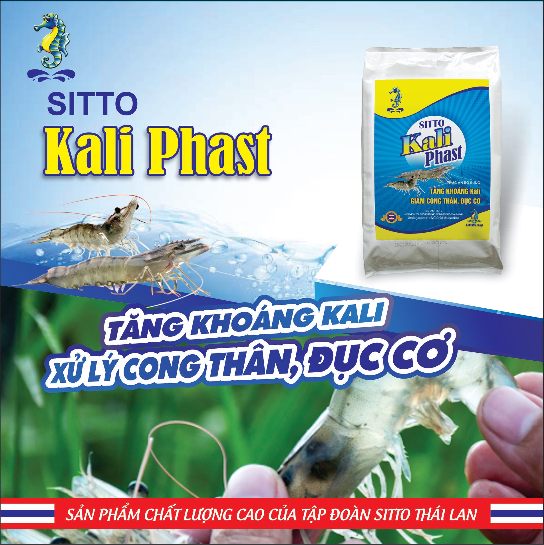 Sitto Kali-Phast (Bao 5kg) Xử lý cong thân đục cơ